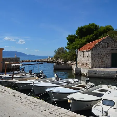 Lora Ex Palma Apartment Gradac (Split-Dalmatia)