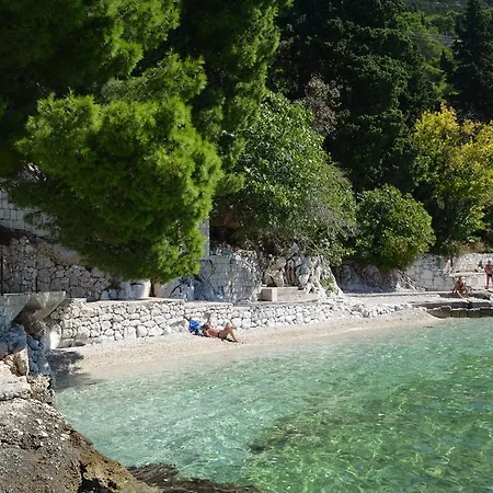 Lora Ex Palma Apartment Gradac (Split-Dalmatia)